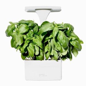 Short Stories Indoor Herb Garden nib new